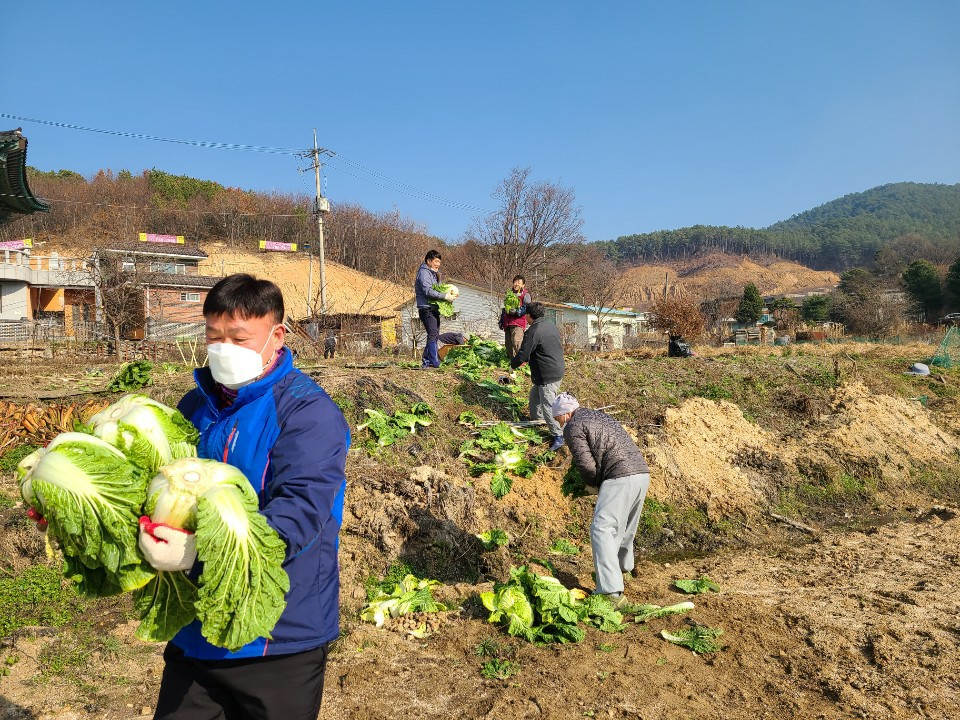 김장하는날