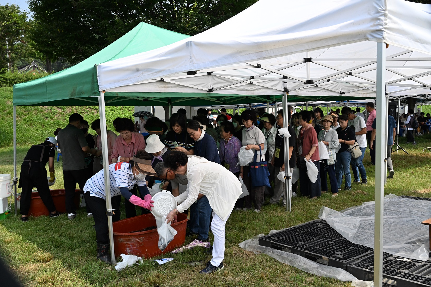 불기2568년 백중방생 및 성지순례